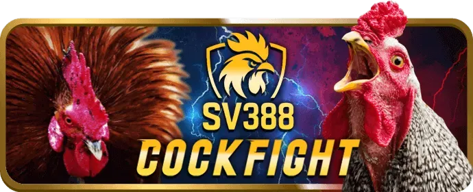Thưởng chào mừng thành viên mới mv67 nhà cái